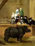 Pietro Longhi - Exhibition of a Rhinoceros at Venice